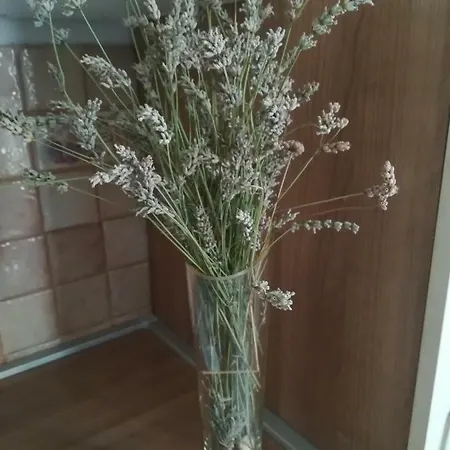 Nada * Корнич