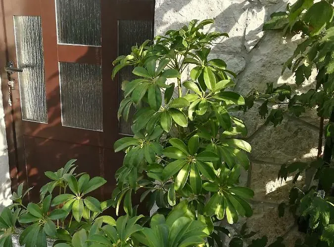 Apartment Nada Kornić